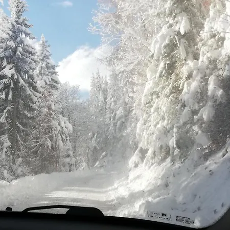 Ahnenhuette Untersabernighof Шале *