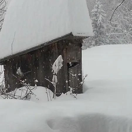 Chalet Ahnenhütte Untersabernighof *