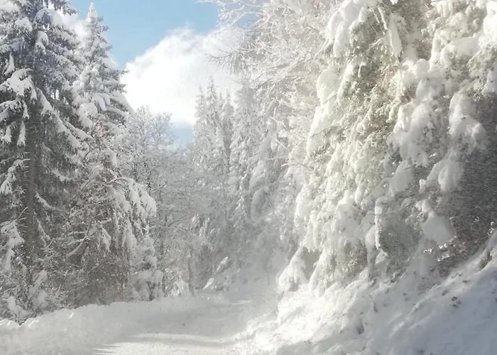 Ahnenhuette Untersabernighof Alpesi faház *