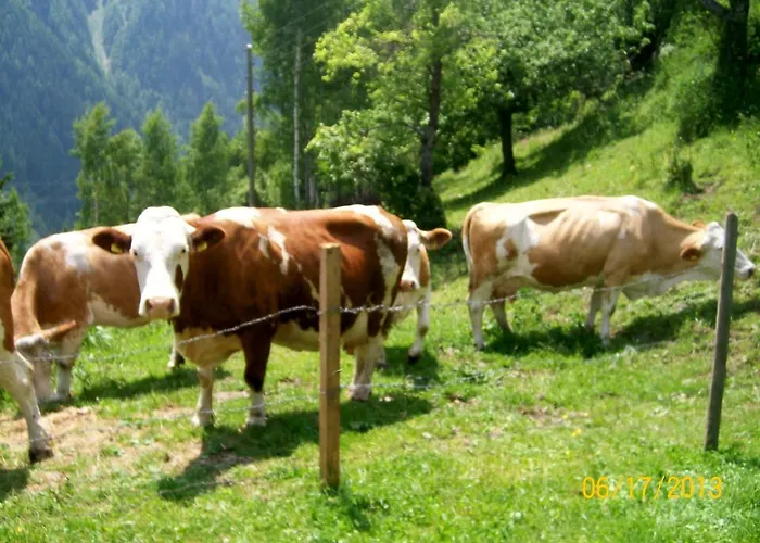 Alpesi faház Ahnenhuette Untersabernighof