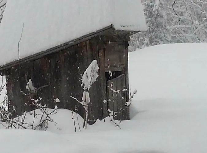 Alpesi faház Ahnenhuette Untersabernighof *